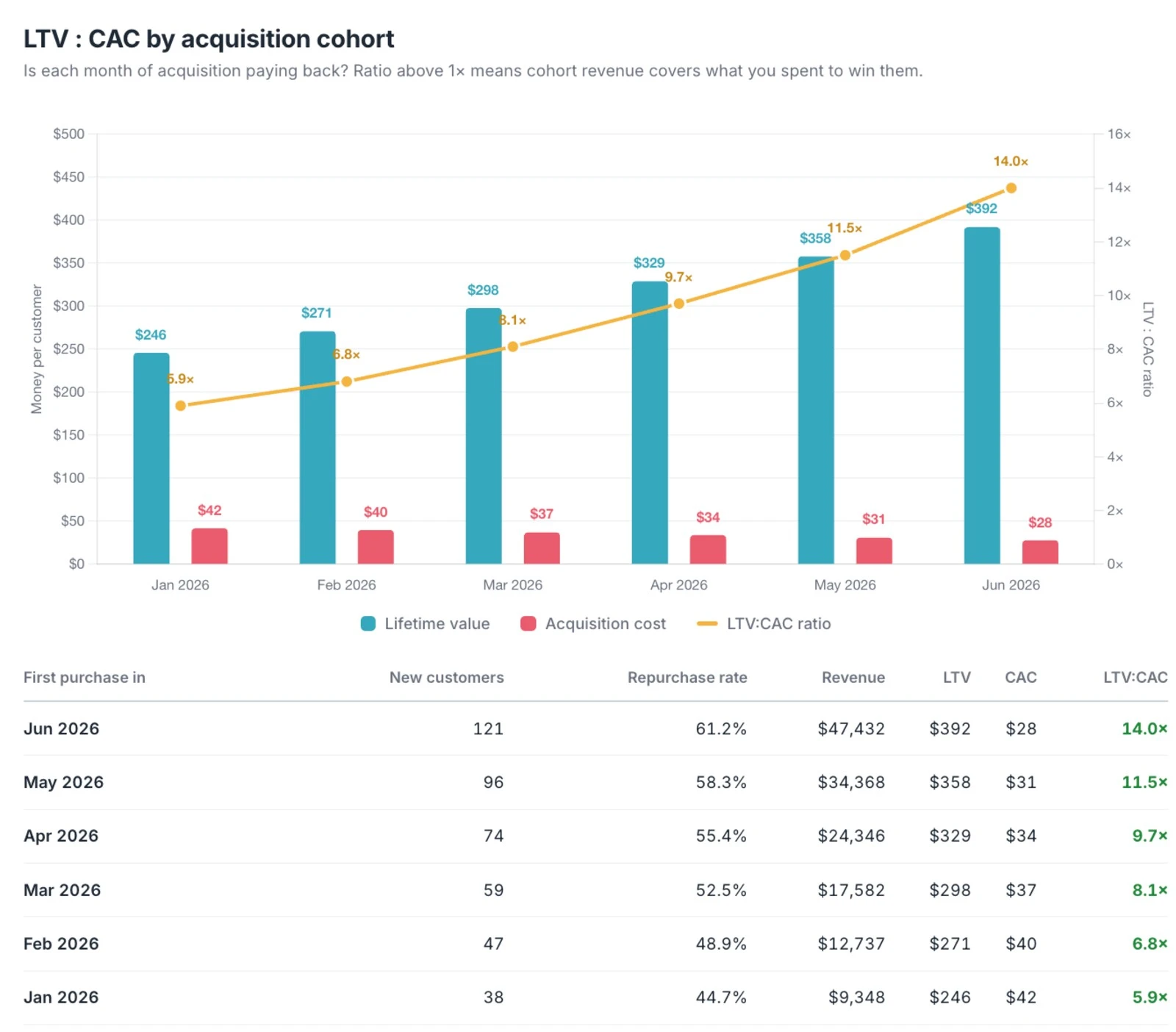 NetNet customers page with LTV / CAC ratio, new vs returning breakdown, cohort metrics
